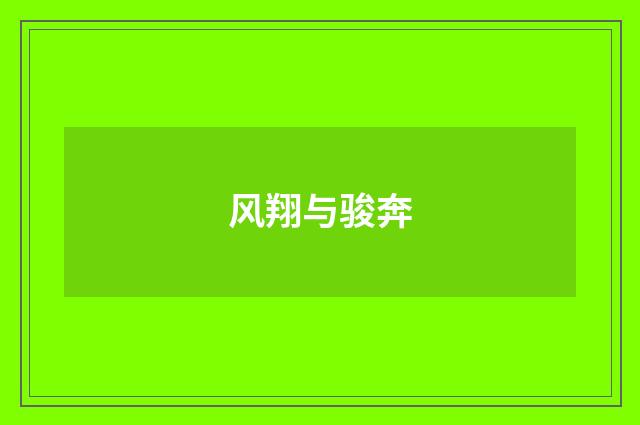 风翔与骏奔