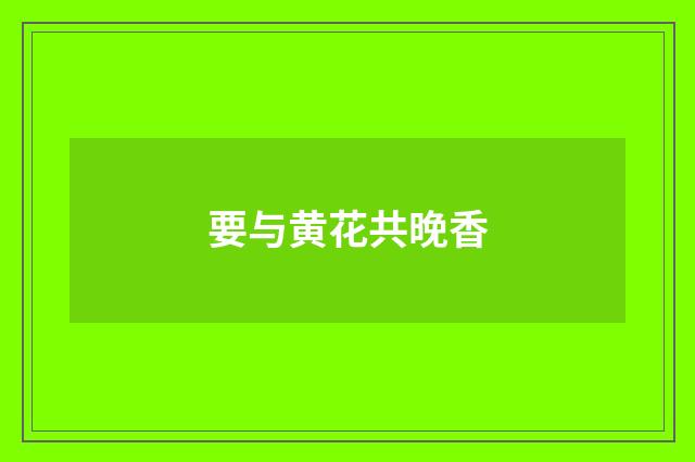 要与黄花共晚香