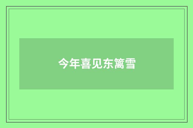 今年喜见东篱雪