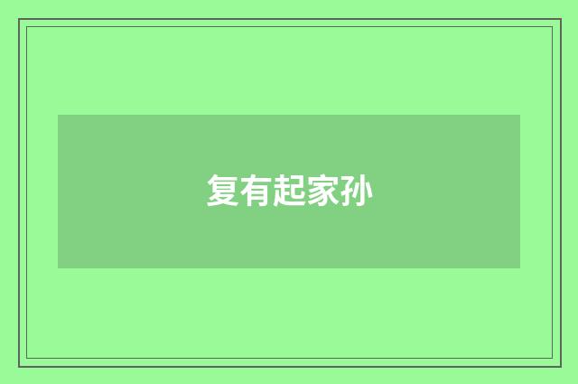 复有起家孙