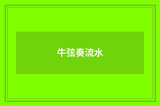 牛弦奏流水
