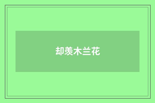 却羡木兰花