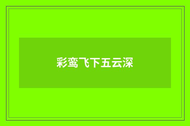 彩鸾飞下五云深