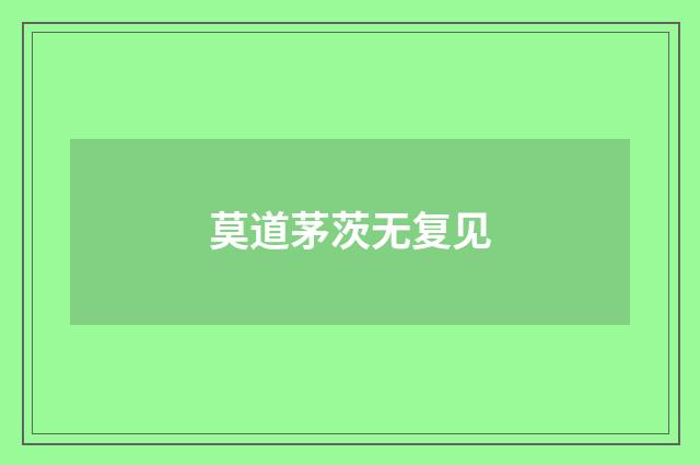 莫道茅茨无复见