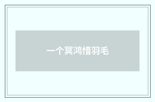 一个冥鸿惜羽毛