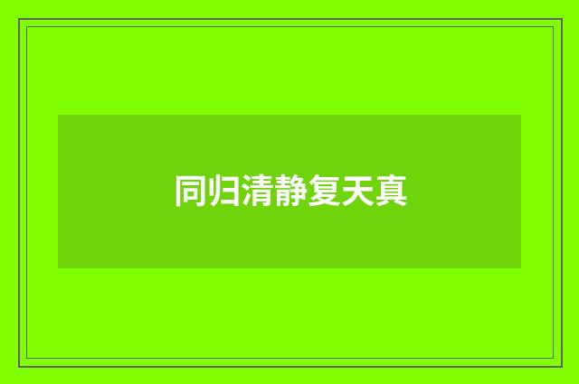 同归清静复天真