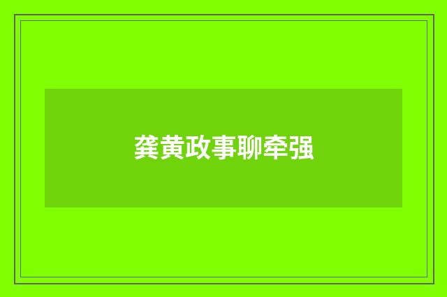 龚黄政事聊牵强