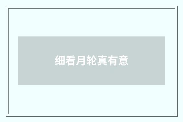 细看月轮真有意