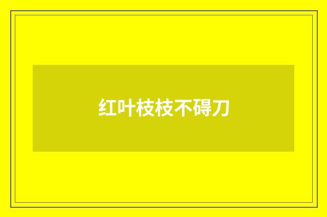 红叶枝枝不碍刀