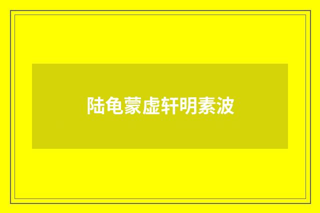 陆龟蒙虚轩明素波