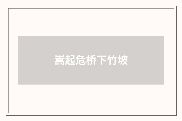 嵩起危桥下竹坡