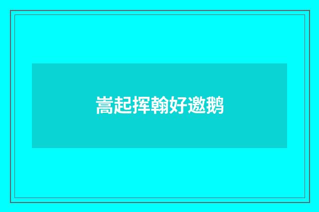 嵩起挥翰好邀鹅