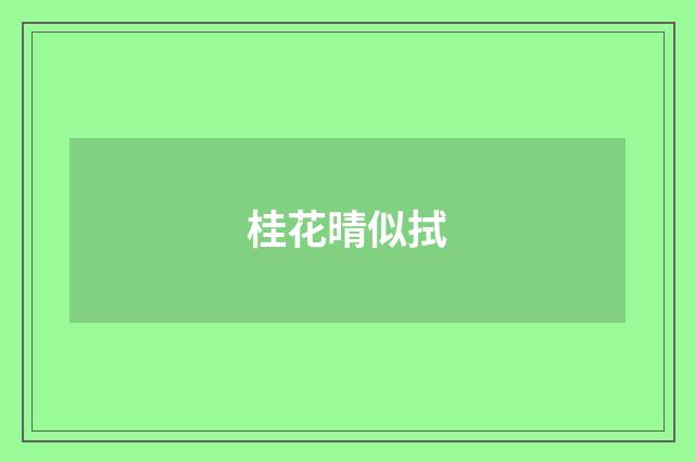 桂花晴似拭