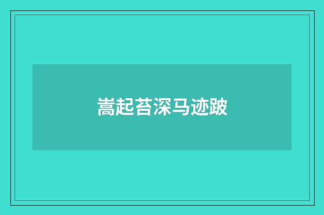 嵩起苔深马迹跛
