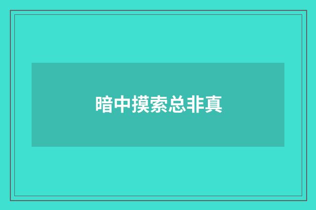 暗中摸索总非真
