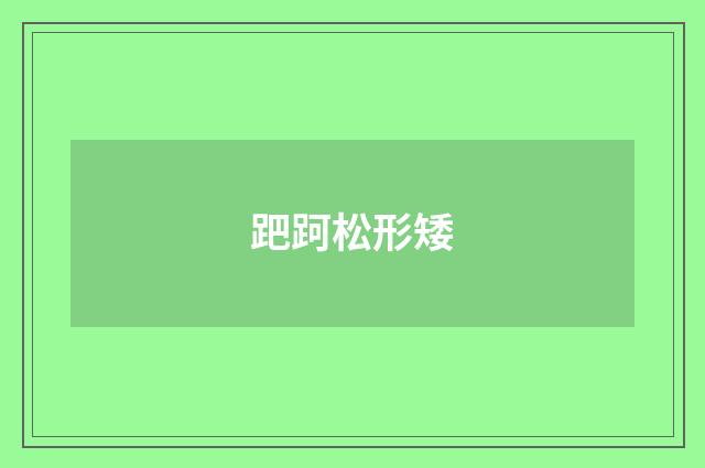 跁跒松形矮