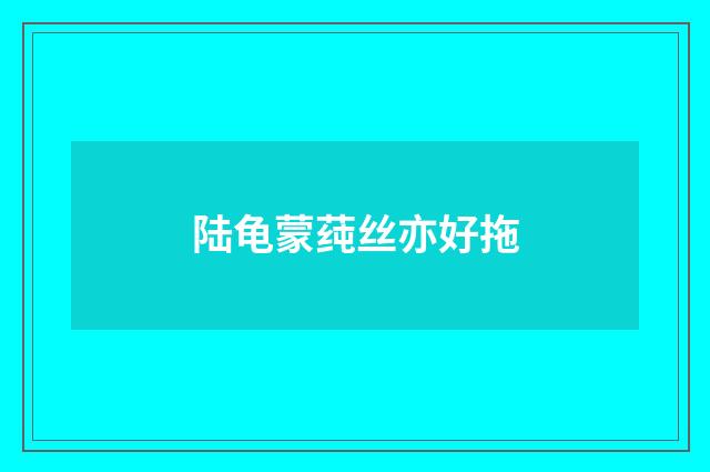 陆龟蒙莼丝亦好拖