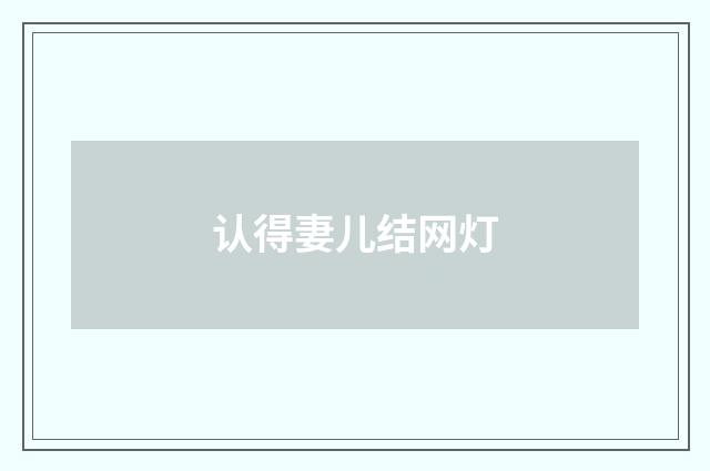 认得妻儿结网灯