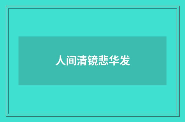 人间清镜悲华发
