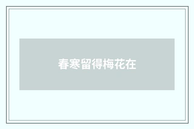 春寒留得梅花在