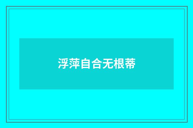 浮萍自合无根蒂