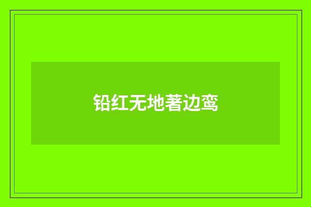 铅红无地著边鸾