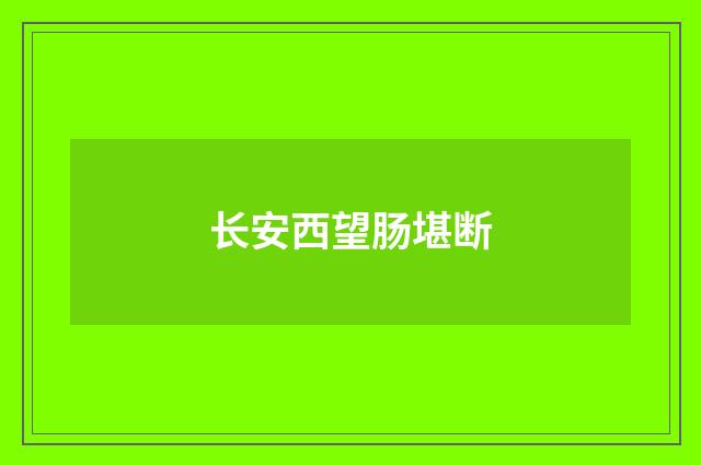长安西望肠堪断