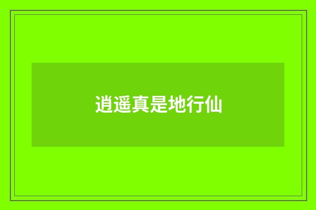 逍遥真是地行仙