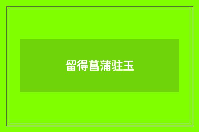 留得菖蒲驻玉