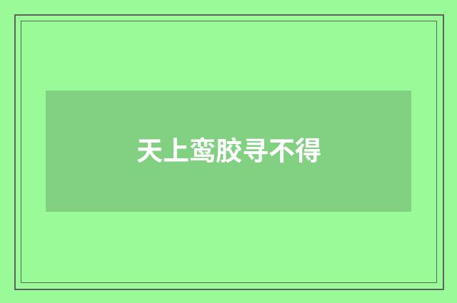天上鸾胶寻不得