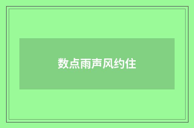 数点雨声风约住