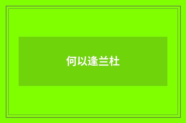 何以逢兰杜