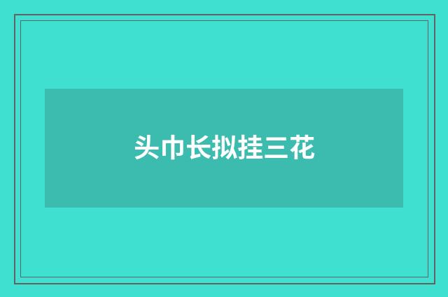 头巾长拟挂三花