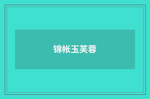 锦帐玉芙蓉
