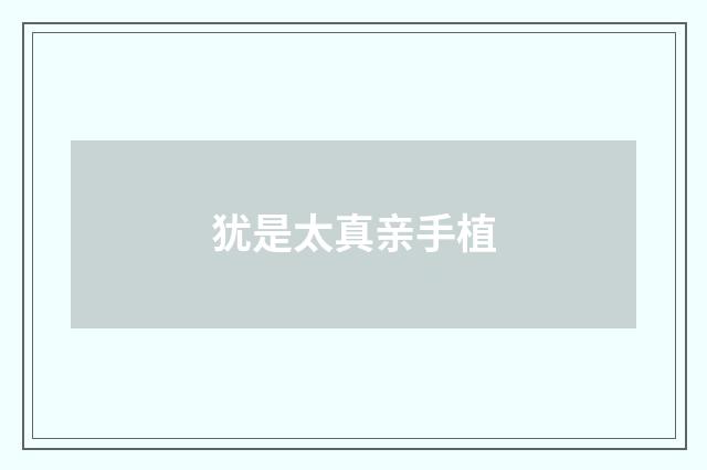 犹是太真亲手植