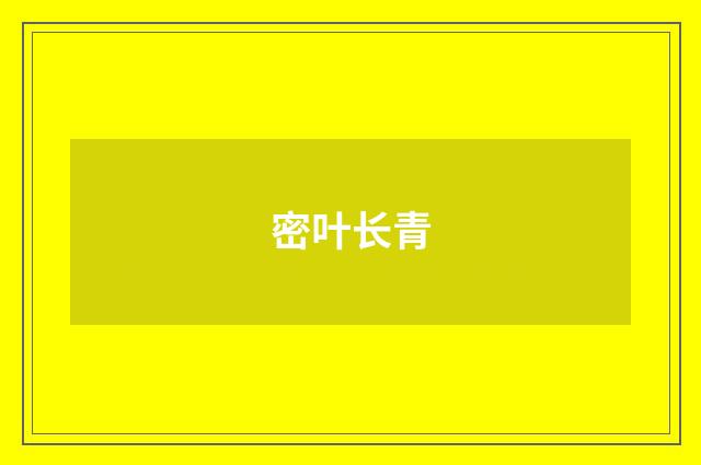 密叶长青