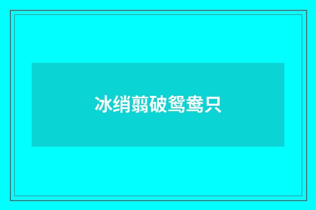 冰绡翦破鸳鸯只
