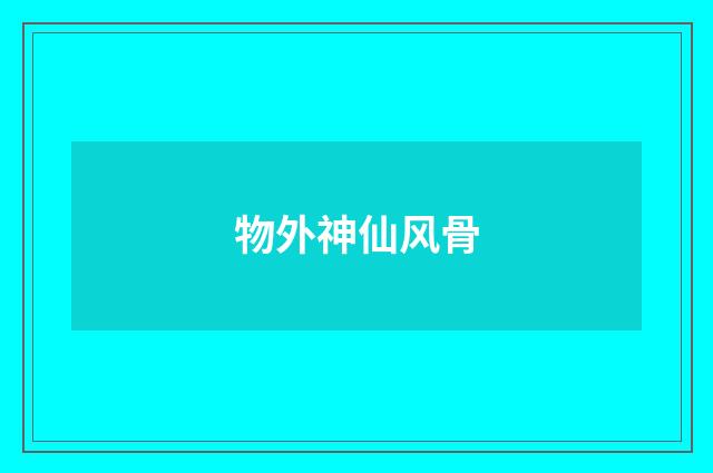 物外神仙风骨
