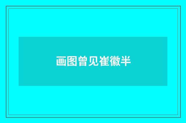 画图曾见崔徽半