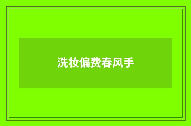 洗妆偏费春风手
