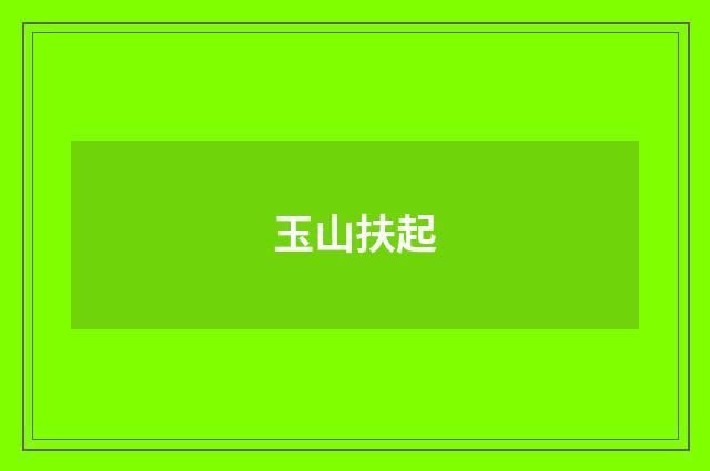 玉山扶起