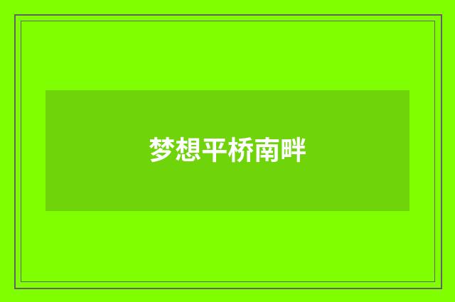 梦想平桥南畔