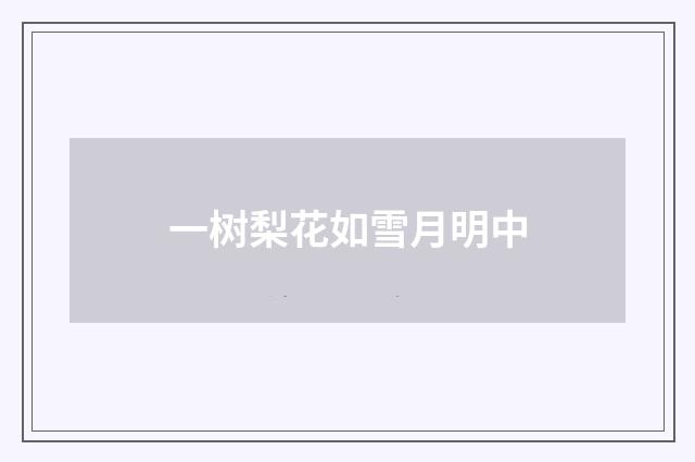 一树梨花如雪月明中