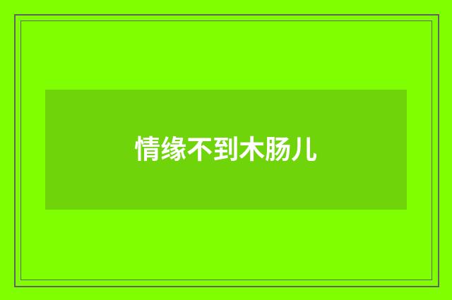情缘不到木肠儿