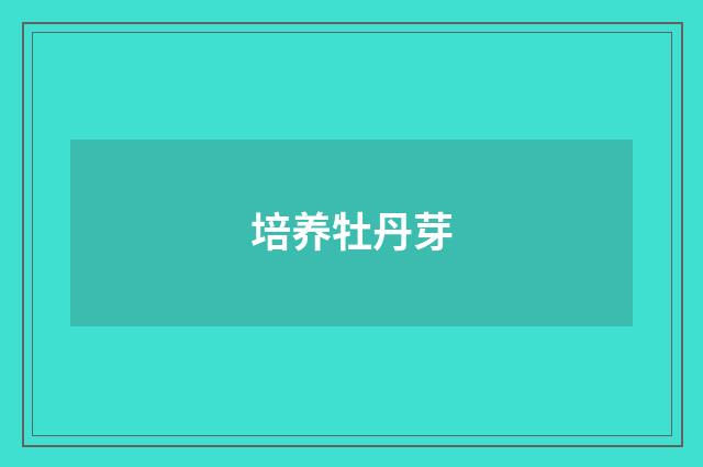 培养牡丹芽