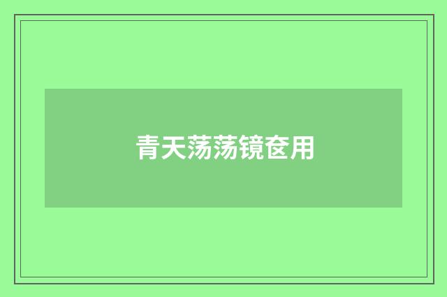 青天荡荡镜奁用