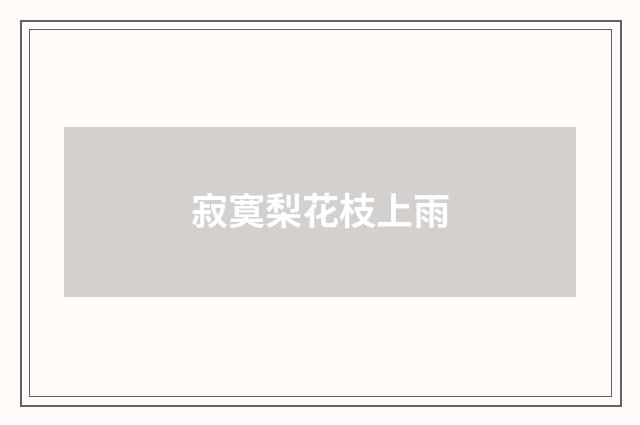 寂寞梨花枝上雨