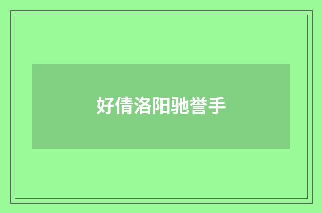 好倩洛阳驰誉手