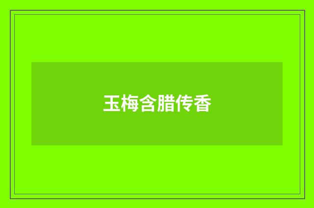 玉梅含腊传香