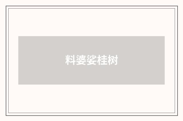 料婆娑桂树